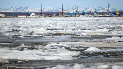 Ледоход реки янао 2024
