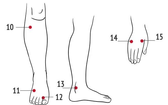 Точка Сань Инь Цзяо (6 Rp). Болевые точки на ногах. Точки на голени для массажа. Болезненные точки на ногах.
