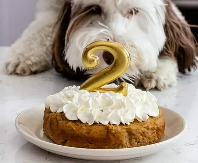 Dog cake