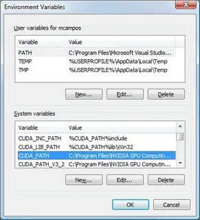 Process environment variables