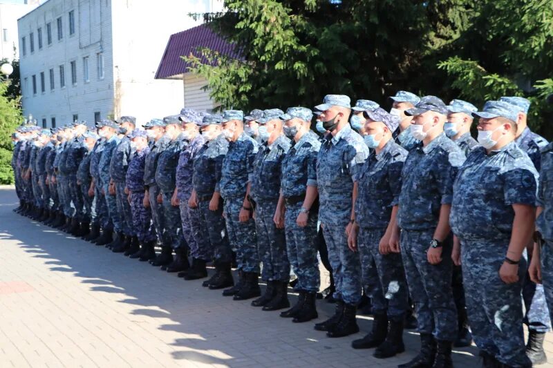 Командировка в херсонскую область