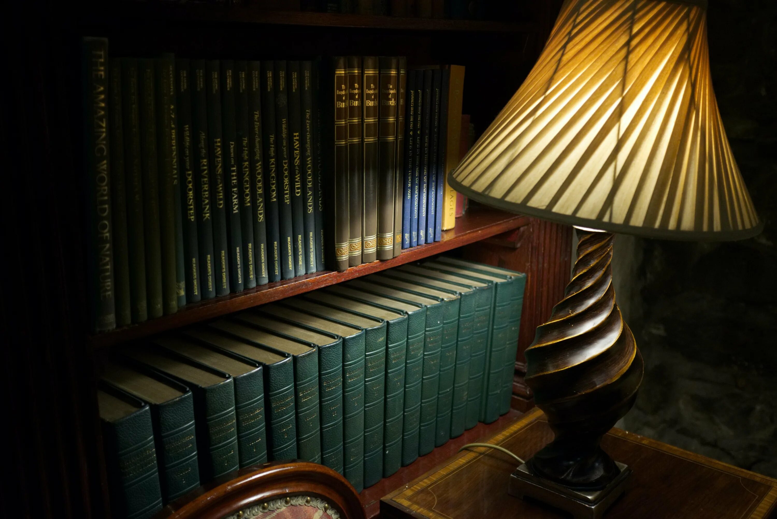 The lamp is the book