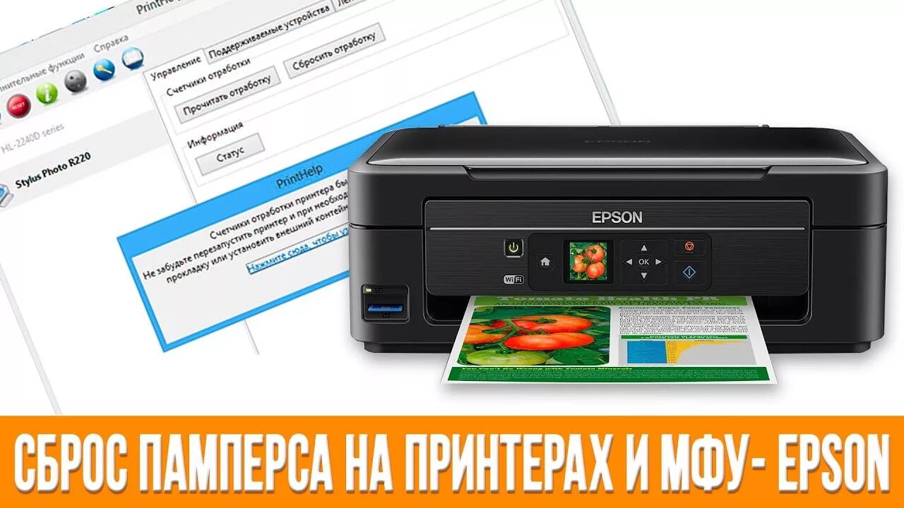 Epson l3100 сброс памперса