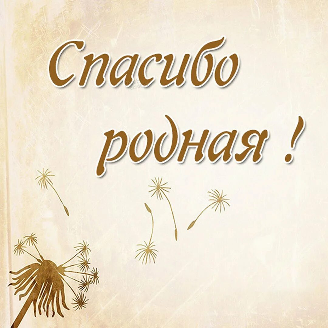 Спасибо за поздравления картинки. Спасибо дорогая за поздравления. Спасибо братишка за поздравление. Спасибо родная.