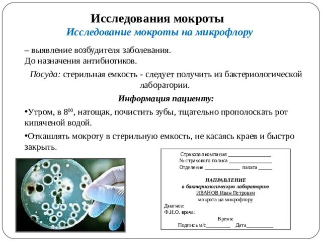 Цель бактериологического исследования мокроты. Микробиологический анализ мокроты. Цель и показания для бактериологического исследования мокроты. Анализ мокроты на бактериологическое исследование.