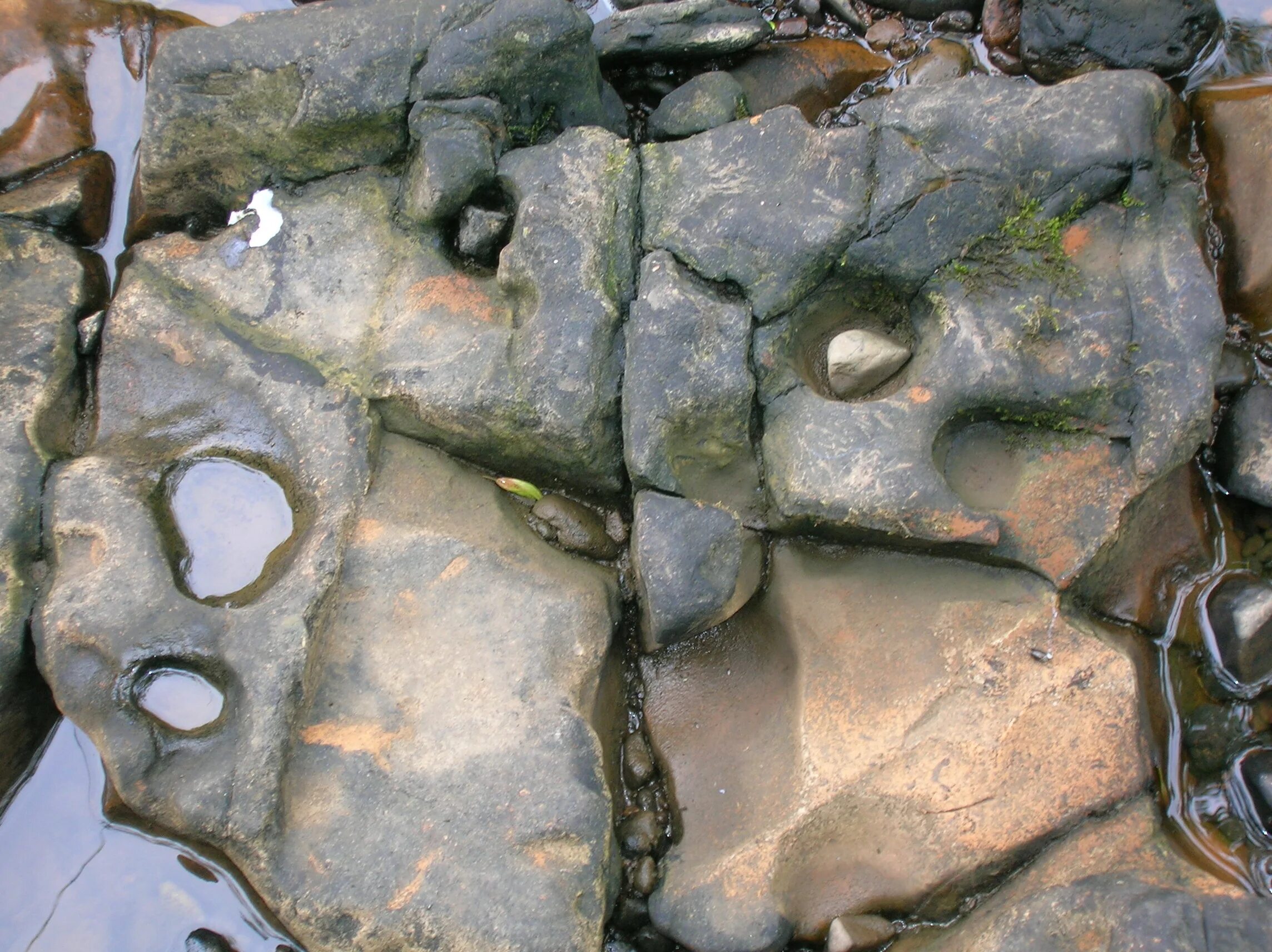 Rock cutting. Следы круглых раковин в камне. source rock basin modeling.