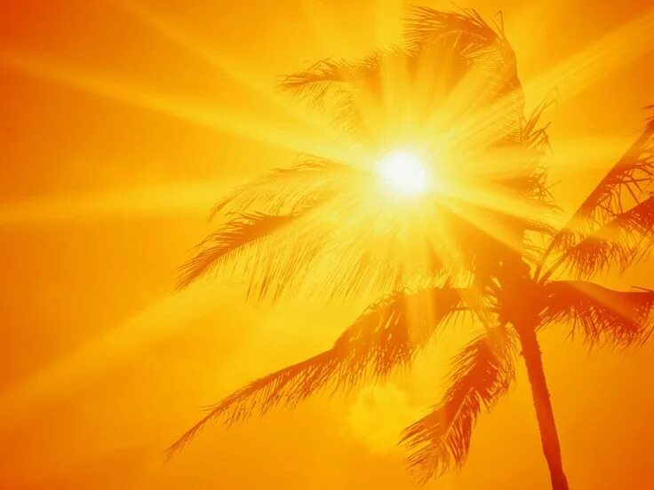 Sunshine always