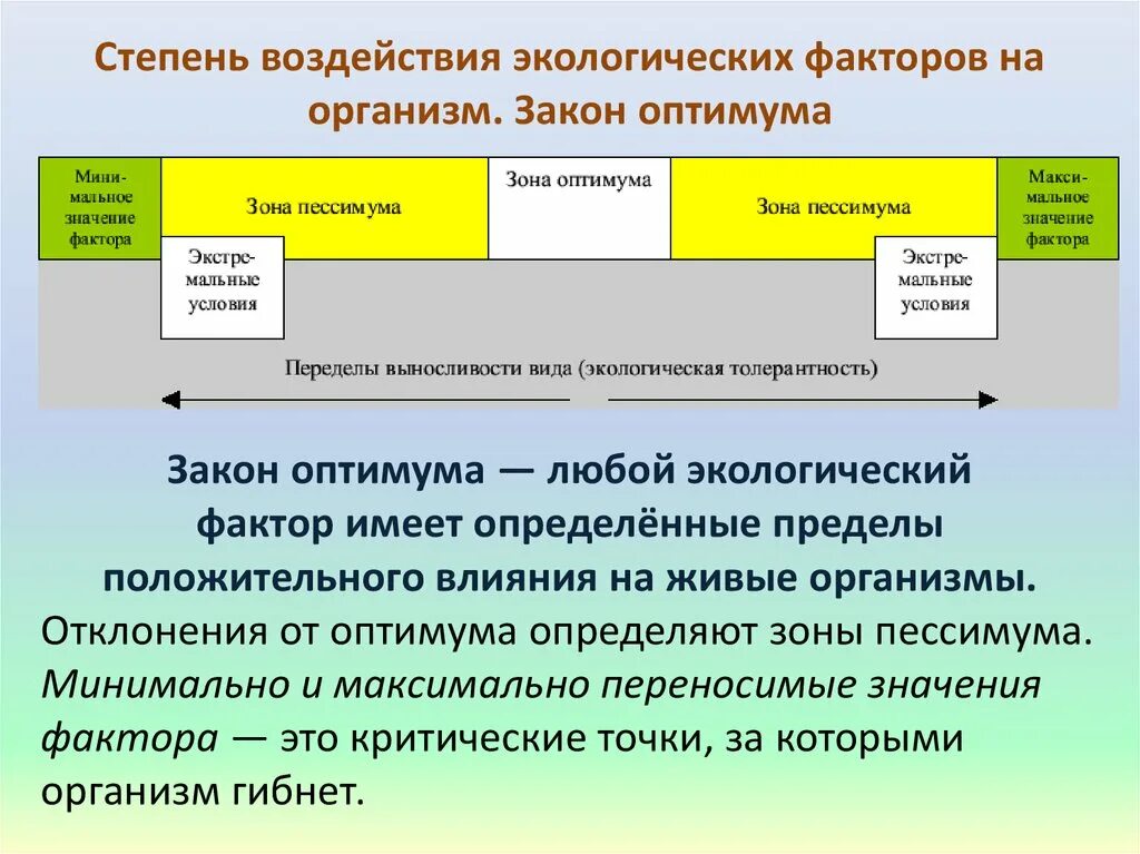 Закон воздействия экологических факторов. Степени воздействия в экологии. Влияние экологических факторов на организмы. Степени нагрузки на окружающую среду. График положительного влияния фактора на организм.