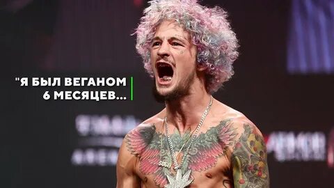 Когда будет бой шона о мэлли