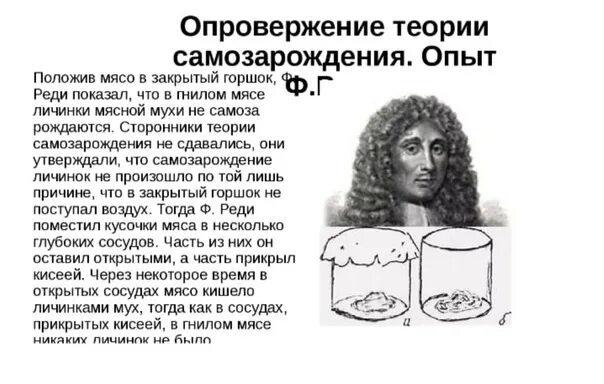 Опыт опровергающий самозарождение жизни. Опыт опровергающий самозарождение жизни. Франческо реди теория самозарождения. Луи пастер теория самозарождения. Самозарождение жизни доказательства.