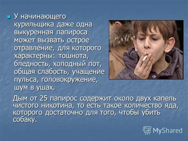 начинающий курильщик быстро привыкает. образование раковых опухолей у курильшика вызывает. начинающим курильщикам. начинающий курильщик быстро привыкает к веществу содержащемуся. начинающий курильщик быстро привыкает.