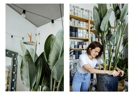 Plant 2020