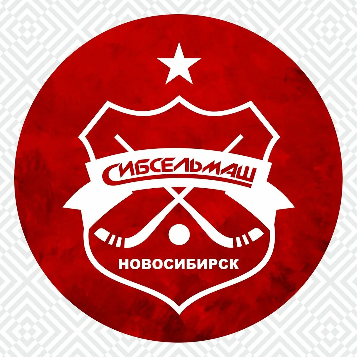 Сибсельмаш клуб по хоккею с мячом. Хк сибсельмаш эмблема. хк сибсельмаш новосибирск. хк сибсельмаш новосибирск логотип.