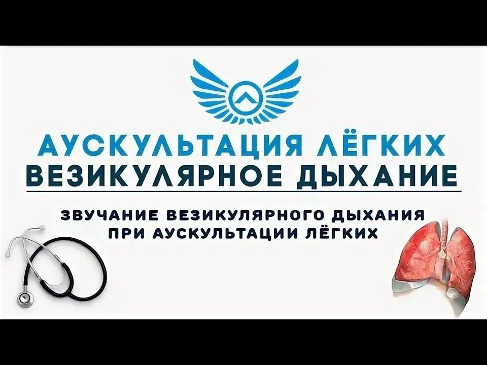 Аускультация везикулярного дыхания. Точка АУСКУЛТАТСИЯ лёгкий. O'PKA auskultatsiyasi.