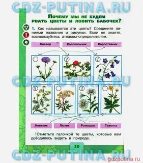 Ктп плешаков 1 класс