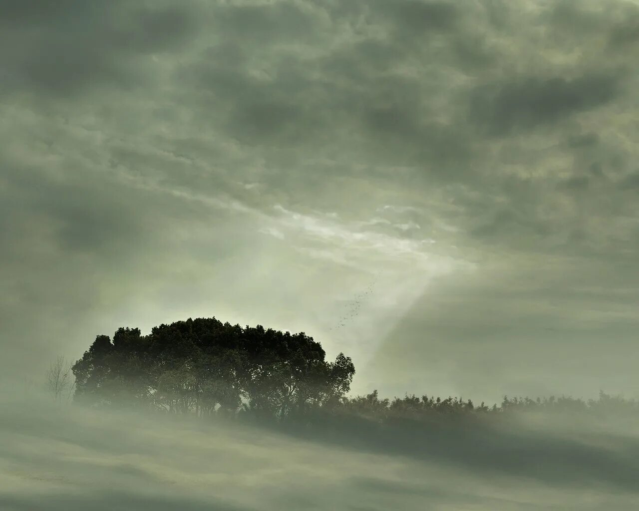 Природа туман. Облака туман. Облака туман. Sky fog. Sky fog.