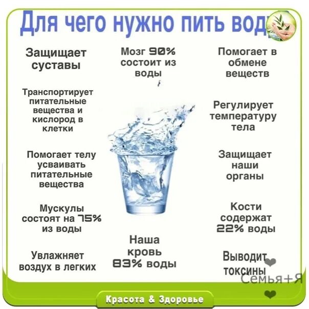 Для чего нужно пить воду. Причины пить воду. Мотивация для питья воды. Дляч его нужно ипь вожц.