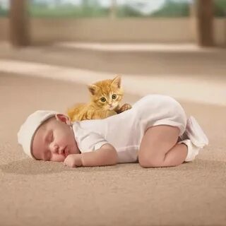 Картинки котенок и ребенок.