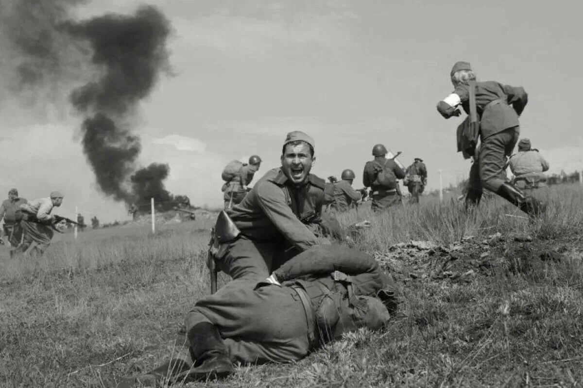На войне живут бойцы. Бои Великой Отечественной войны 1941-1945. Фотохроника войны 1941-1945.