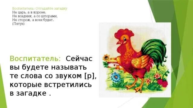 Не ездок а со шпорами не отгадка