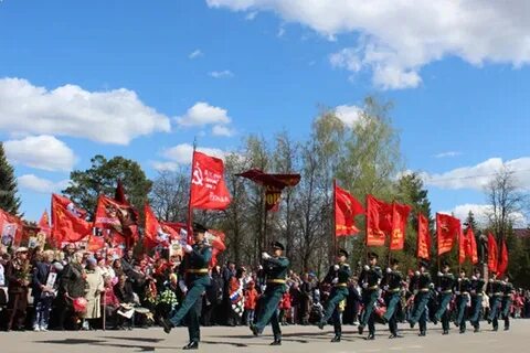День жуковки