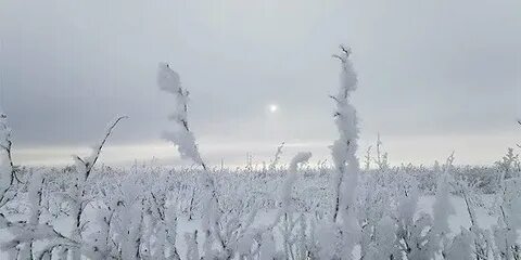 Гидрометцентр волгоград на 10 дней