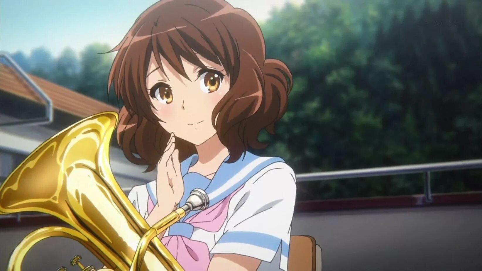 Китамура \ эуфониум. Звучи эуфониум персонажи. Звучи эуфониум рейна косака. Сайт звучи. Рейна косака (hibike euphonium).