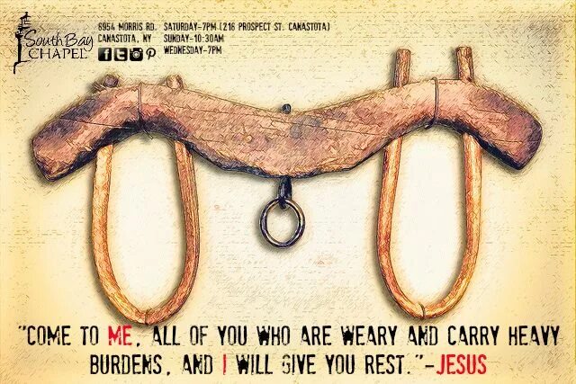 Иго ярмо. Что значит ярмо. Бык в упряжке. Упряжь для быка. Иго ярмо.