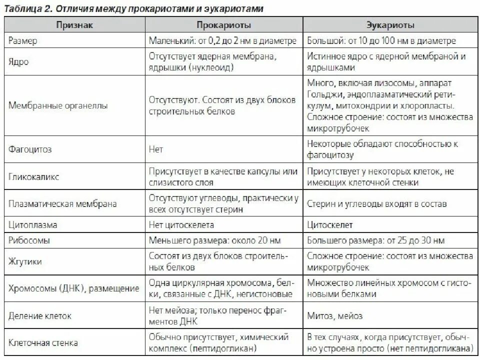 Отличия прокариот и эукариот таблица. Основные отличия клеток прокариот и эукариот. Отличия клетки прокариот от клетки эукариот таблица. Отличие клетки прокориота от эукориота.