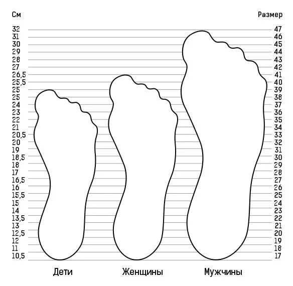 Стелька 28 размер мужской обуви. Сантиметр 1 класс. Таблица единиц длины. 39 сантиметров в длину. Размер ноги в сантимет.
