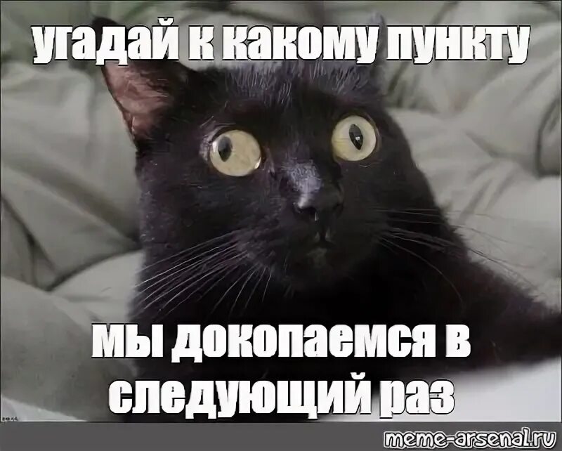 Угадай куда я сейчас иду