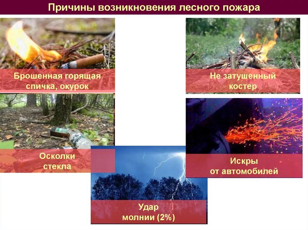 Причины возникновения лесных пожаров. Причины лесных пожаров брошенная спичка. Лесные пожары брошенный окурок. Осторожно Лесные пожары.