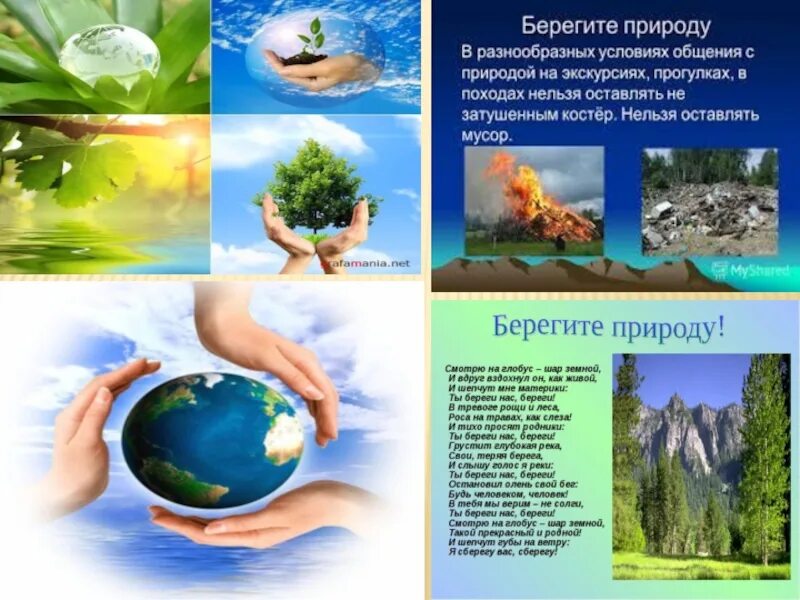 Темы экологических работ