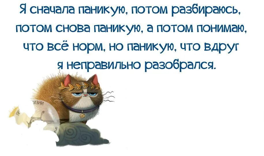 Афоризмы про панику. Поговорки про панику. Я сначала паникую потом. Паника афоризмы весёлые.