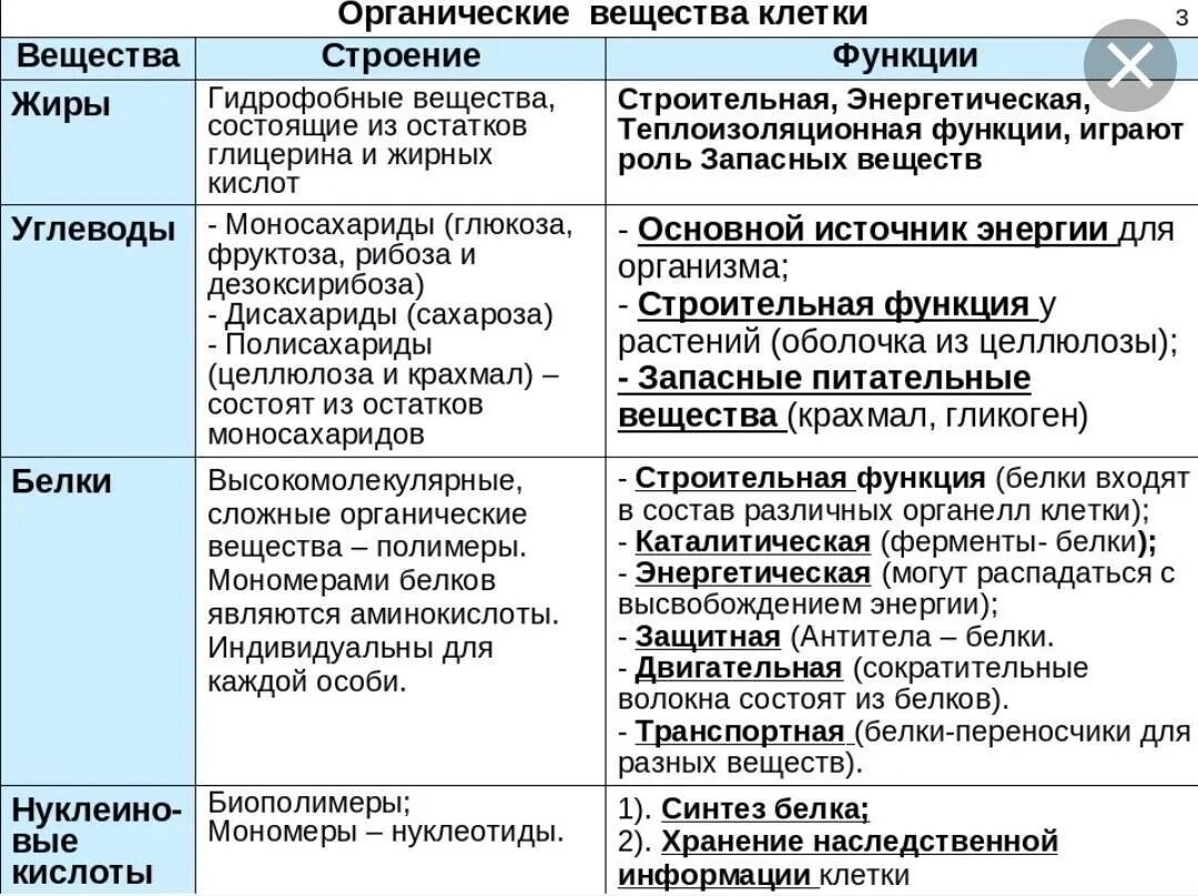 Таблица функций органических веществ