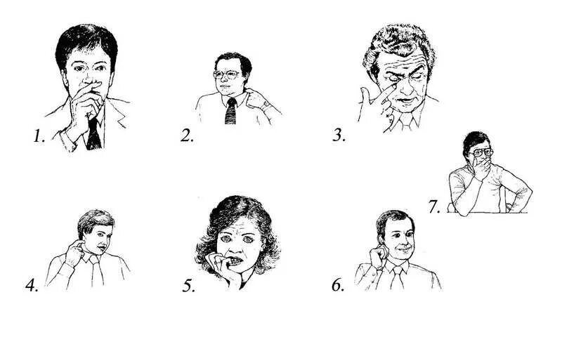 Как языку узнать человека. Как языку узнать человека. Находить общий язык значение фразеологизма. Как языку узнать человека. Цвет языка здорового человека.