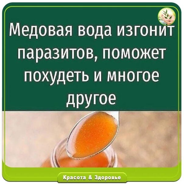 Рецепт меда для глаз. Медовая вода от паразитов. Рецепт медовой воды. Медовая вода для глаз. Мед разведенный водой