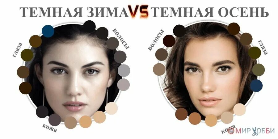 Цветотип темная осень. Цветотипирование внешности темная осень. Глубокая темная зима. Пенелопа крус цветотип внешности. Тёмная зима цветотип палитра.