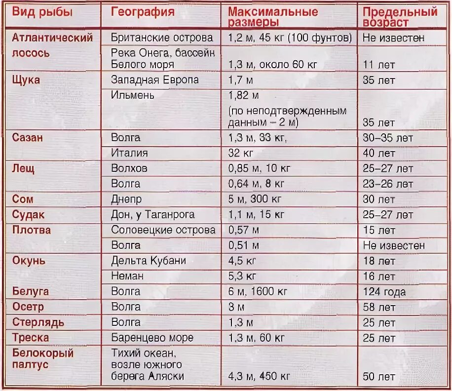 Продолжительность жизни рыб. Таблица продолжительности жизни рыб. Продолжительность жизни речных рыб. Таблица веса и возраста рыбы.