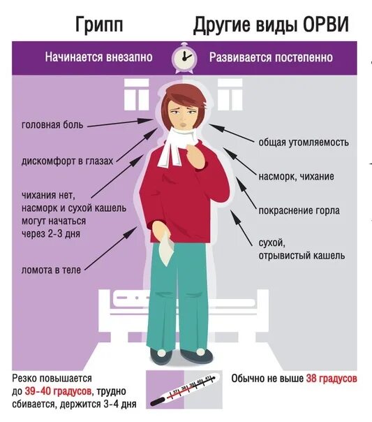 Какой сейчас грипп ходит симптомы 2025. Виды гриппа. грипп типа а. грипп и его разновидности. грипп типа а симптомы.