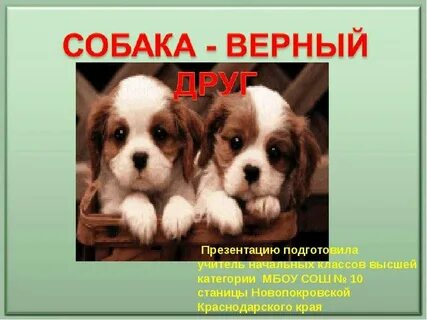 Презентация про собаку 1 класс
