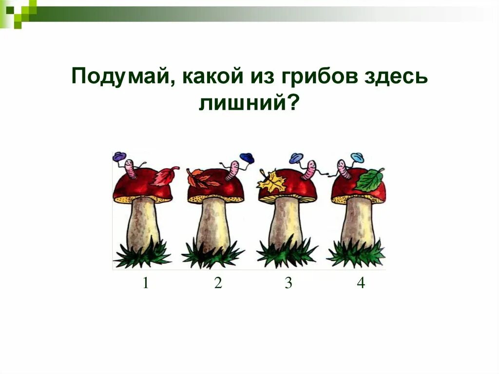 Грибы растения животные что лишнее. Грибы задания для детей. Четвертый лишний грибы. Задания для детей на тему грибы. Грибы задания для дошкольников.