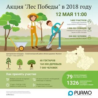 Посади дерево сколько
