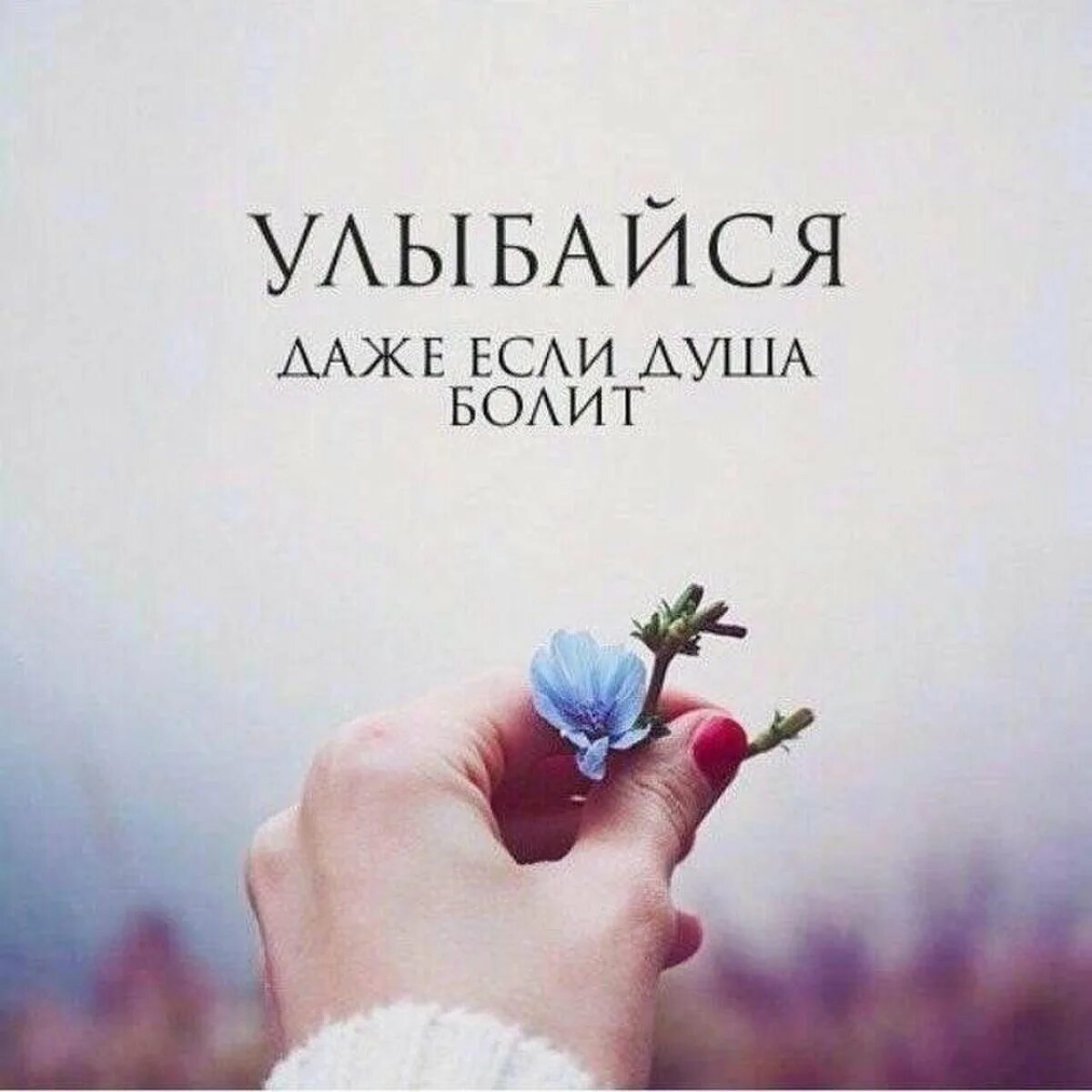 Ава про жизнь со смыслом. Цитаты на аватарку со смыслом. улыбайся даже если болит душа. цитаты на аву со смыслом. цитаты про душу.