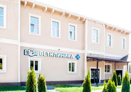 Вет ма