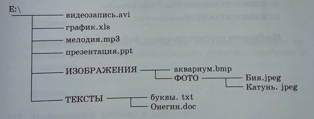 Полное имя файла бия jpeg запишите. Запишите полные имена всех файлов размещенных на диске файловая. запишите полные имена всех файлов следующей файловой структуры:. запишите полное имя для файла &quot;бия.jpeg&quot;.. запишите в виндовс полные имена всех файлов.