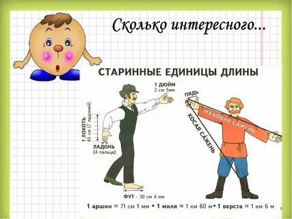Пару метров в длину