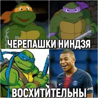 Черепашка мем