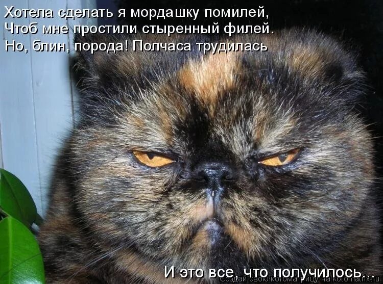 Как жаль что вы наконец уходите