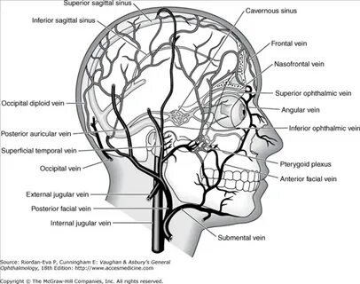 Internal face